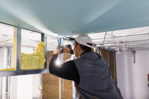 Best Blown-In Insulation  in Hicksville, NY